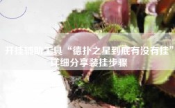 开挂辅助工具“德扑之星到底有没有挂”详细分享装挂步骤