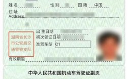 电子驾驶证p图模板 电子驾驶证p图模板免费