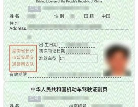 电子驾驶证p图模板 电子驾驶证p图模板免费