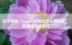 玩家必搜“wepoker辅助挂怎么用安全”(原来确实是有挂)