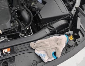 【汽车福克斯,汽车福克斯电瓶最长寿命多久】