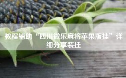 教程辅助“四川微乐麻将苹果版挂”详细分享装挂