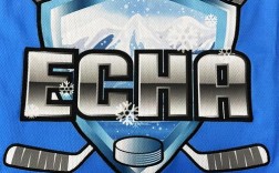 hockey(hockey是什么意思)