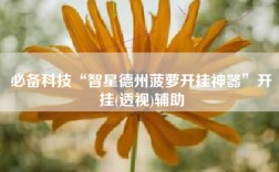 必备科技“智星德州菠萝开挂神器”开挂(透视)辅助