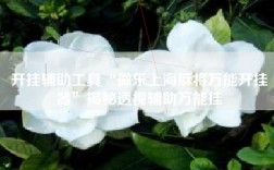 开挂辅助工具“微乐上海麻将万能开挂器”揭秘透视辅助万能挂