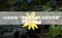 3分钟教程“微乐地主怎么玩能抓好牌”开挂详细教程