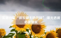 实测分享“微乐锄大地开挂”(曝光透视必备猫腻