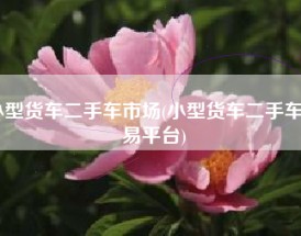 小型货车二手车市场(小型货车二手车交易平台)