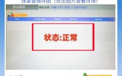 大连交通车辆违章查询官网(大连道路交通违章查询)