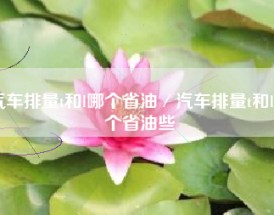 汽车排量t和l哪个省油／汽车排量t和l哪个省油些