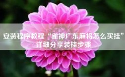 安装程序教程“雀神广东麻将怎么买挂”详细分享装挂步骤