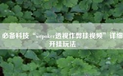 必备科技“wepoker透视作弊挂视频”详细开挂玩法