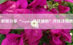 教程分享“wepoker开挂辅助”开挂详细教程