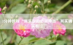 3分钟教程“微乐双扣必赢神器”其实确实有挂