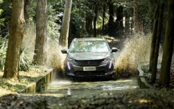 标致4008视频 标致4008视频帧