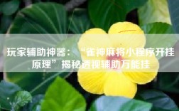玩家辅助神器：“雀神麻将小程序开挂原理”揭秘透视辅助万能挂