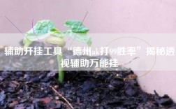 辅助开挂工具“德州ak打99胜率”揭秘透视辅助万能挂