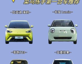 汽车报价大全十万以内新车／汽车报价大全十万以内新车有哪些
