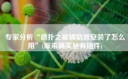 专家分析“德扑之星辅助器安装了怎么用”(原来确实是有插件)