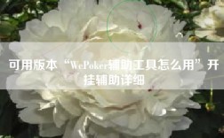 可用版本“WePoker辅助工具怎么用”开挂辅助详细