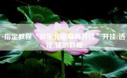 指定教程“微乐北京麻将开挂”开挂(透视)辅助教程