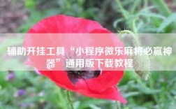 辅助开挂工具“小程序微乐麻将必赢神器”通用版下载教程