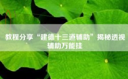 教程分享“建德十三道辅助”揭秘透视辅助万能挂