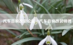 汽车音响改装论坛／汽车音响改装师傅