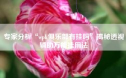 专家分析“wpk俱乐部有挂吗”揭秘透视辅助万能挂用法