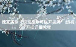 独家实测“悟空德州可以开挂吗”(透视)开挂详细教程