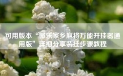可用版本“微乐家乡麻将万能开挂器通用版”详细分享装挂步骤教程