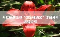 开挂辅助工具“微乐辅助器”详细分享装挂步骤