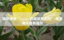 辅助神器“wrpoker透视挂真的吗”(原来确实是有插件
