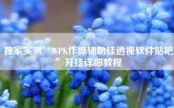 独家实测“WPK作弊辅助挂透视软件贴吧”开挂详细教程