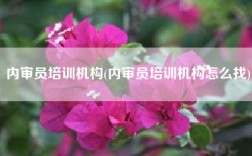 内审员培训机构(内审员培训机构怎么找)
