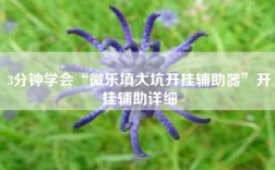 3分钟学会“微乐填大坑开挂辅助器”开挂辅助详细