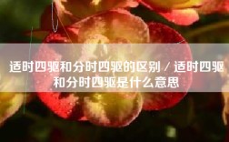 适时四驱和分时四驱的区别／适时四驱和分时四驱是什么意思