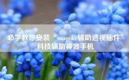 必学教你安装“waapoke辅助透视插件”科技辅助神器手机