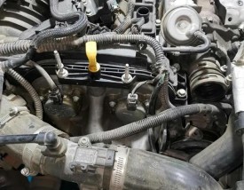 2018款福特福克斯 2018款福特福克斯发动机底极护板怎么拆