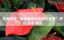 实操教程“雀神麻将必胜软件免费”开挂(透视)辅助