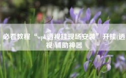 必看教程“wpk透视挂现场安装”开挂(透视)辅助神器