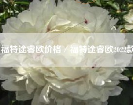 福特途睿欧价格／福特途睿欧2022款