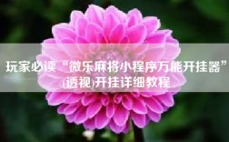 玩家必读“微乐麻将小程序万能开挂器”(透视)开挂详细教程