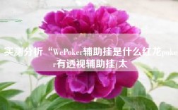 实测分析“WePoker辅助挂是什么红龙poker有透视辅助挂(太