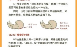 prevalent(prevalent和prevailing区别)