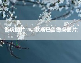 傲虎图片(2012款斯巴鲁傲虎图片)