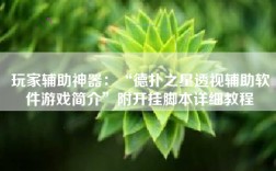 玩家辅助神器：“德扑之星透视辅助软件游戏简介”附开挂脚本详细教程