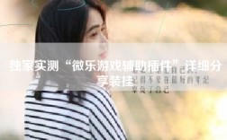 独家实测“微乐游戏辅助插件”详细分享装挂