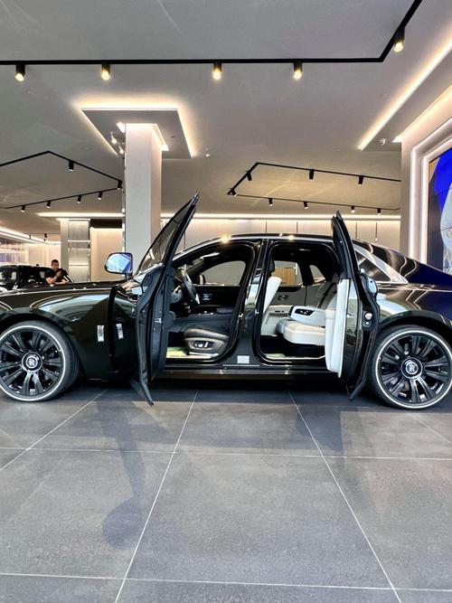 比劳斯莱斯档次高的豪车有哪些,比劳斯莱斯更贵的车有哪些很多很多