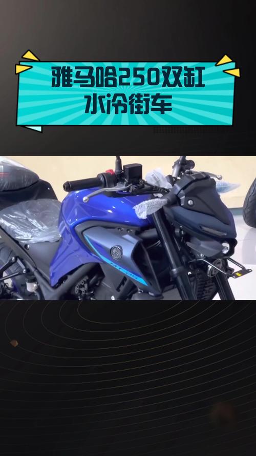 雅马哈双缸250价格 雅马哈双缸250价格 新款上市